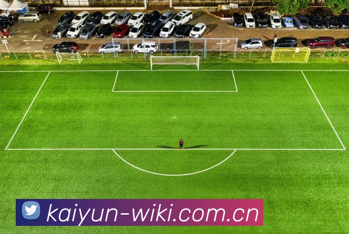 开云平台生态图